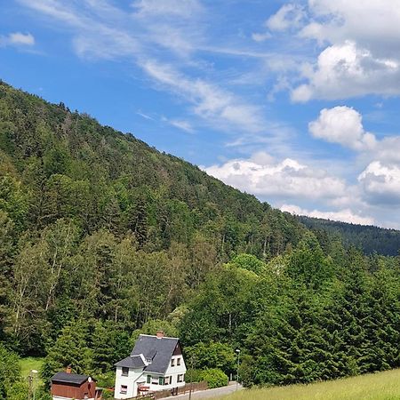 Ferienhaus Rosemarie Erlbach Vogtland Buitenkant foto