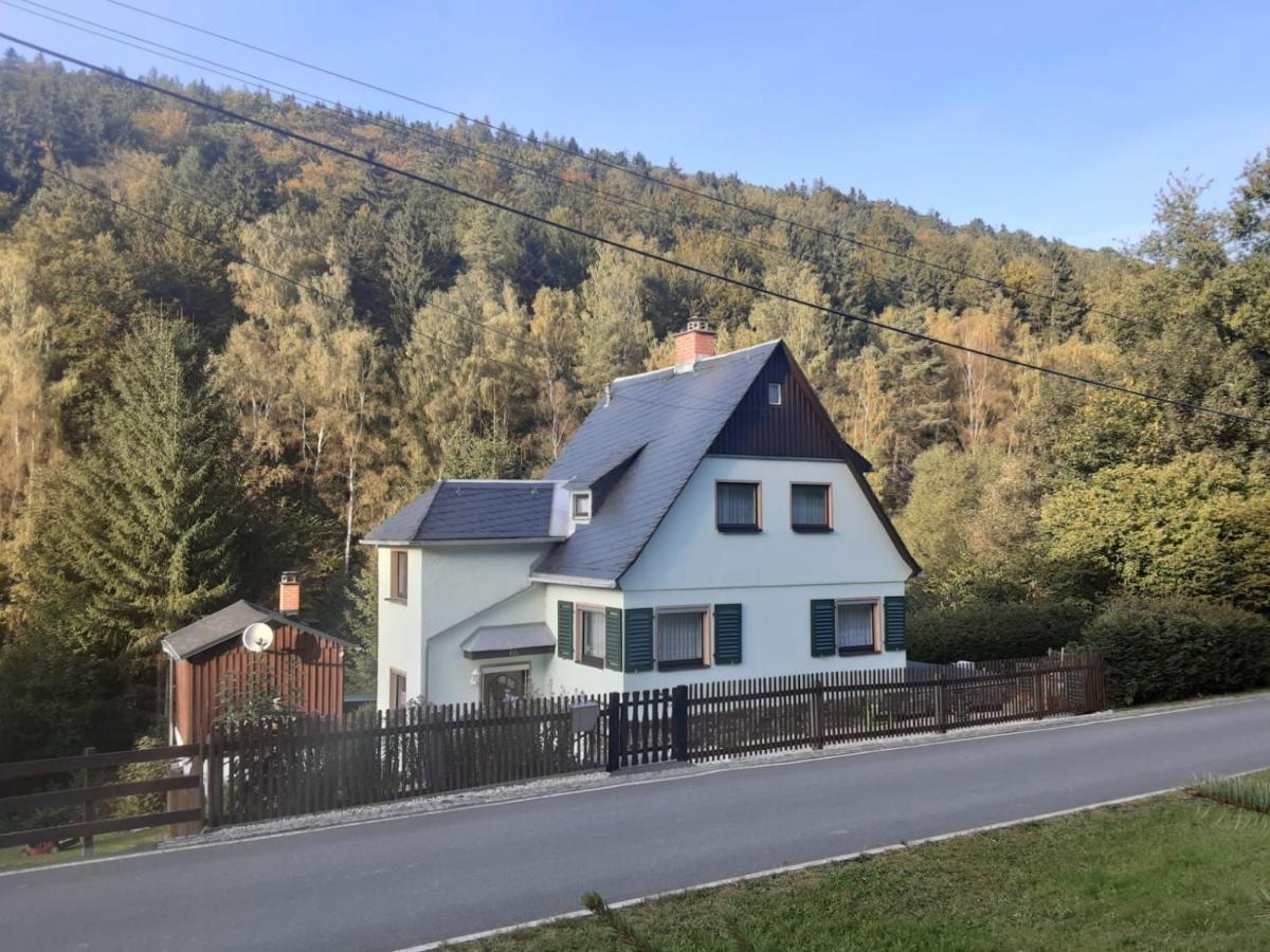 Ferienhaus Rosemarie Erlbach Vogtland Buitenkant foto