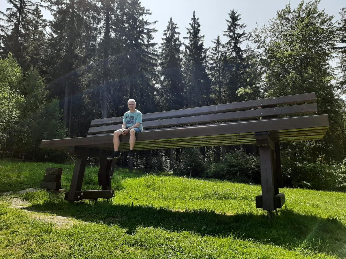 Ferienhaus Rosemarie Erlbach Vogtland Buitenkant foto