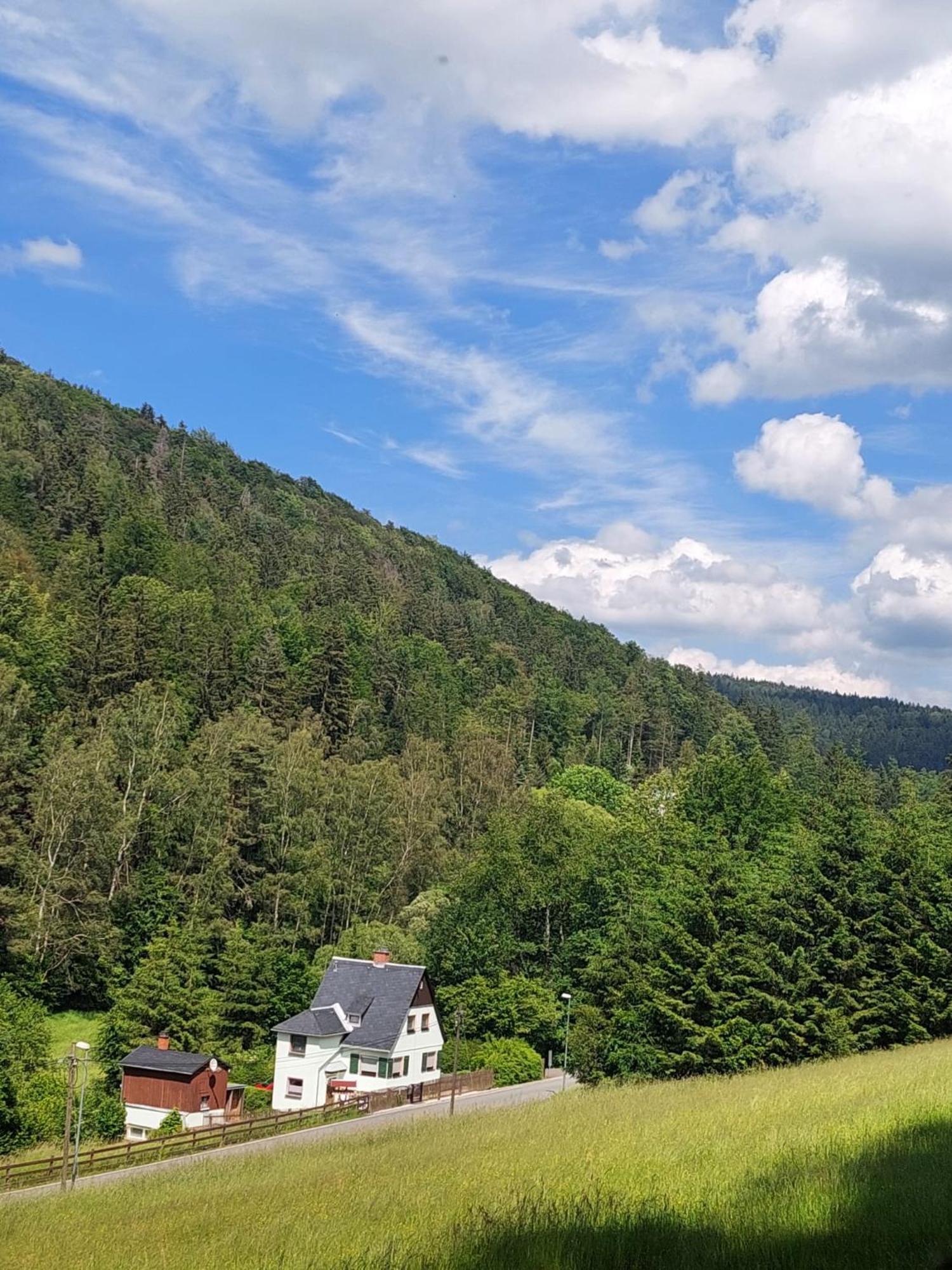 Ferienhaus Rosemarie Erlbach Vogtland Buitenkant foto